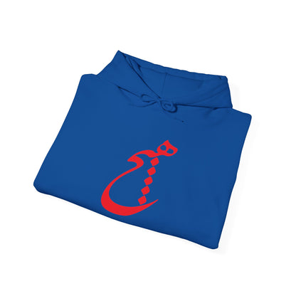 UNISEX HEAVY BLEND™ HOODED SWEATSHIRT | "هیچ" – PERSIAN CALLIGRAPHY