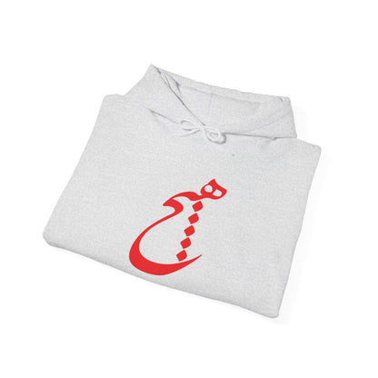 UNISEX HEAVY BLEND™ HOODED SWEATSHIRT | "هیچ" – PERSIAN CALLIGRAPHY