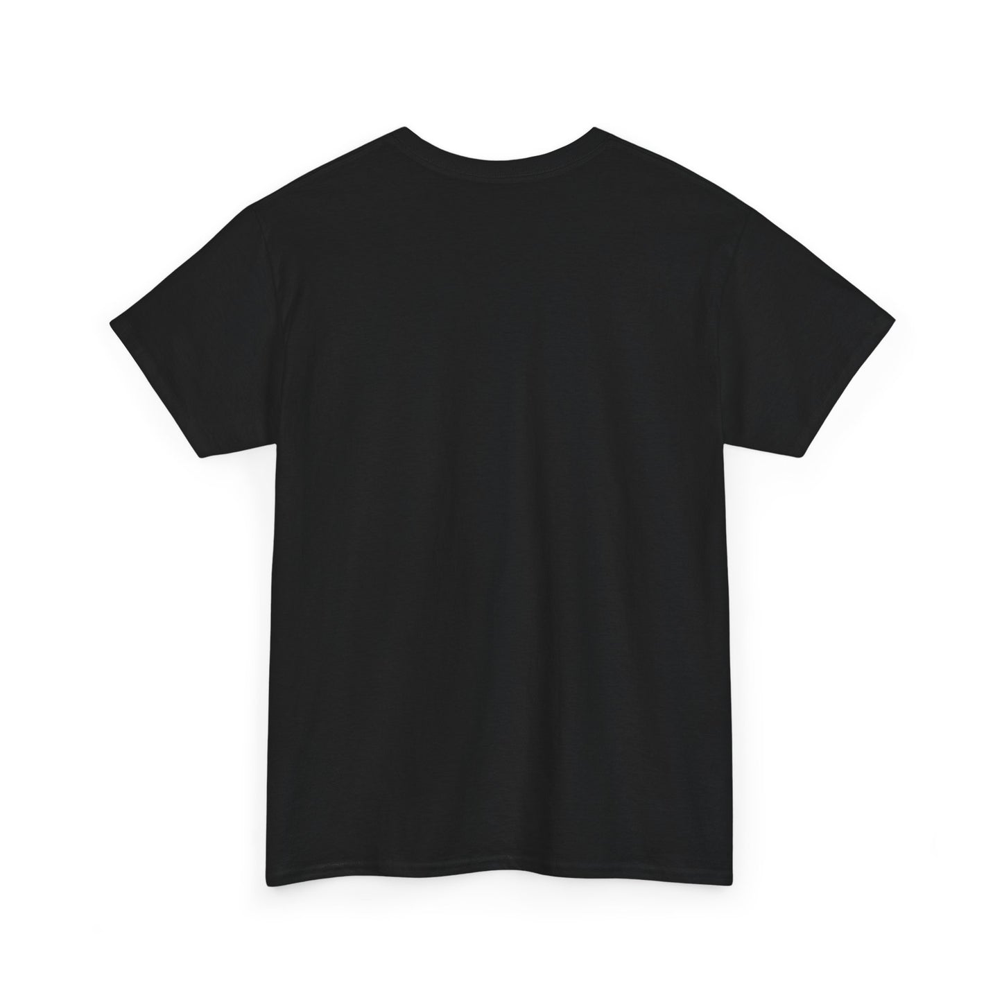 T-SHIRT VINTAGE LION PERSAN ET SOLEIL – SYMBOLE IRANIEN