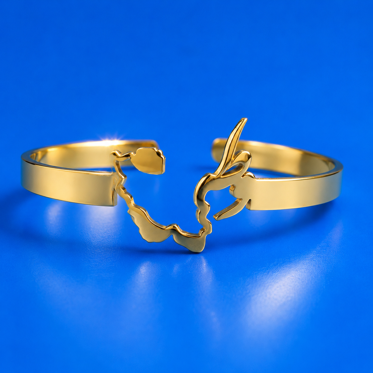 VATAN BRACELET GIFT